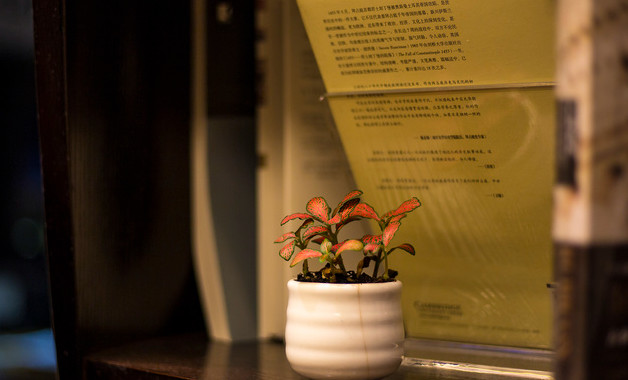 駕駛員年終個人總結(8篇)