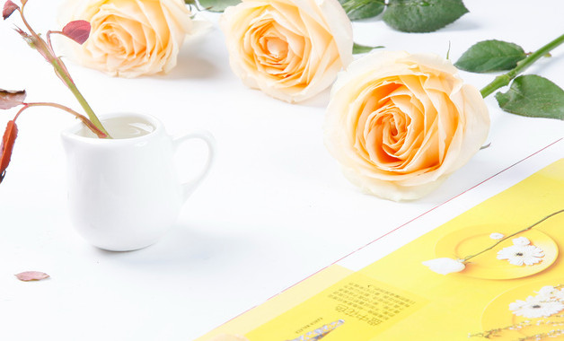 技術(shù)管理機(jī)構(gòu)責(zé)任制范本怎么寫（精選6篇）