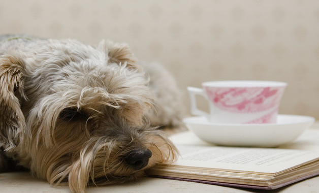 某工程項(xiàng)目現(xiàn)場管理制度怎么寫(精選6篇)