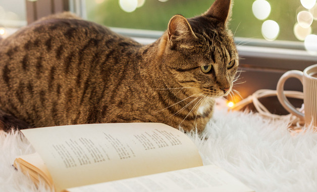 火工品管理員安全生產(chǎn)責(zé)任制【16篇】