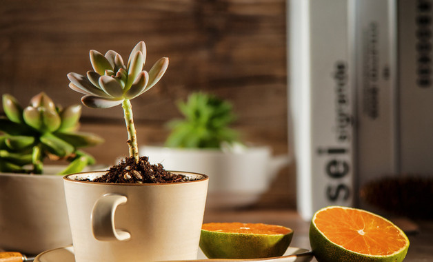 食堂從業(yè)人培訓制度重要性（8篇）