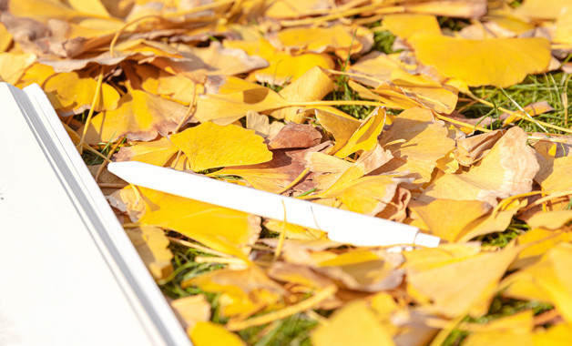 工廠員工 績效考核制度匯編(20篇范文)