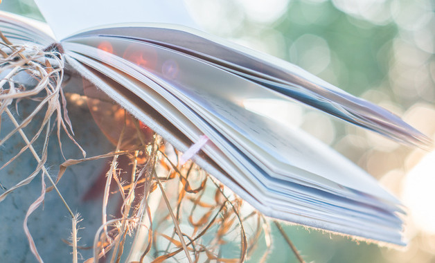 路運(yùn)輸安全管理規(guī)定3篇