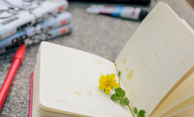 電網(wǎng)培訓周總結