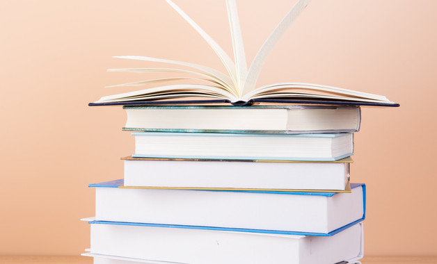 系統(tǒng)集成項目經(jīng)理任職要求7篇