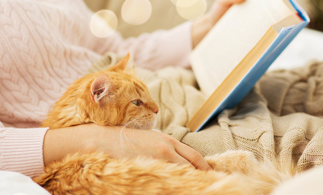 計算機(jī)工程師任職要求3篇