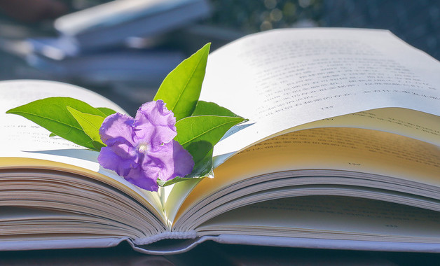 最新?tīng)I(yíng)業(yè)員試用期工作總結(jié) 十三篇