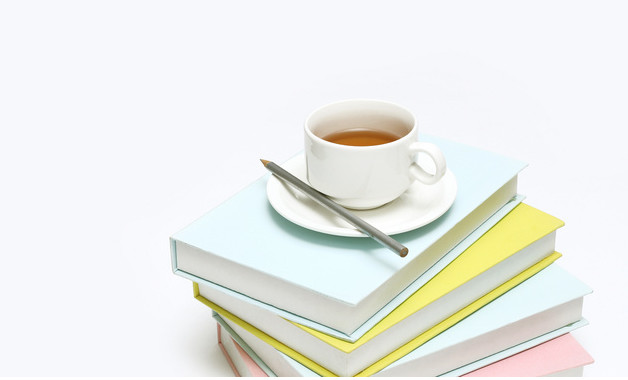 大眾汽車調(diào)查報告