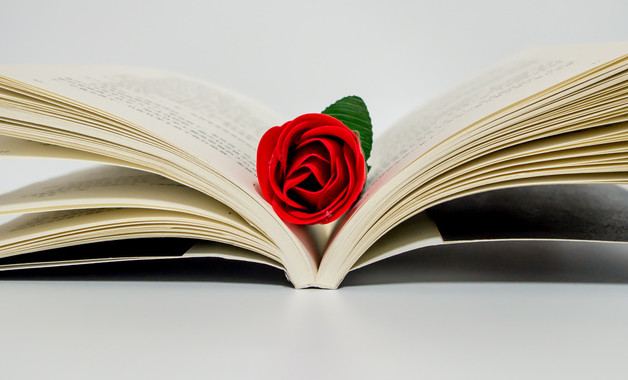 2025房地產(chǎn)實(shí)習(xí)總結(jié)日記怎么寫(xiě)(精選6篇)