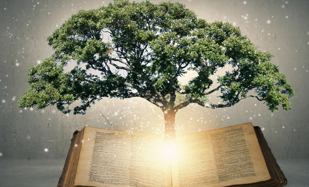 運(yùn)輸管理所交通行政執(zhí)法風(fēng)紀(jì)規(guī)定【16篇】