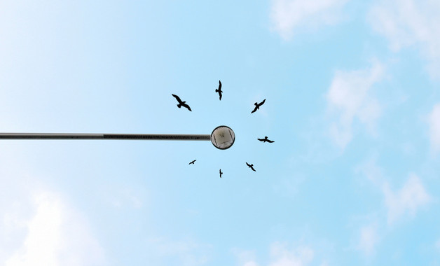 教學(xué)頂崗實習(xí)總結(jié)格式怎么寫(精選6篇)