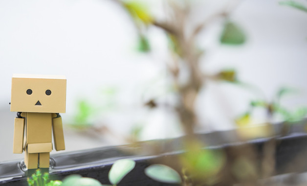 大學生就業(yè)協(xié)會總結(jié)（優(yōu)選3篇）