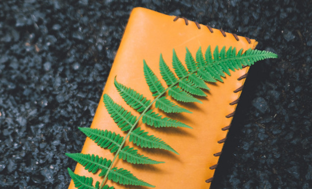 物業(yè)管理措施15篇 物業(yè)管理措施15篇