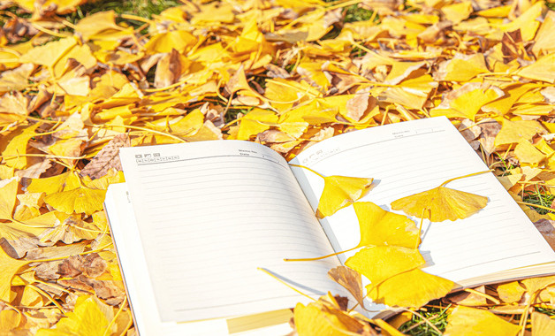 公司團(tuán)委書記在一屆三次全委會(huì)議上的報(bào)告(八篇)